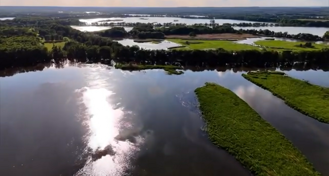 Widok z lotu ptaka na rozlewiska Stawów Milickich, z zielonymi wyspami i łąkami; spokojna woda odbija światło słońca, w tle lasy i jeziora.