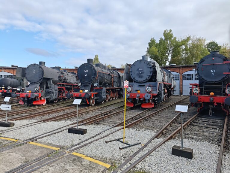 Cztery duże, czarne parowozy (m.in. modele Ty23, Ty45, Tr7) stojące obok siebie na równoległych torach przed budynkiem parowozowni. Lokomotywy mają czerwone elementy podwozia. Przed każdą z nich znajduje się mała tabliczka informacyjna na słupku. Niebo jest lekko zachmurzone, a w tle widać drzewa.